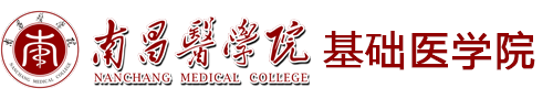 2026美加墨世界杯官网